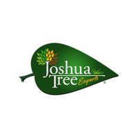 Joshua Tree Experts